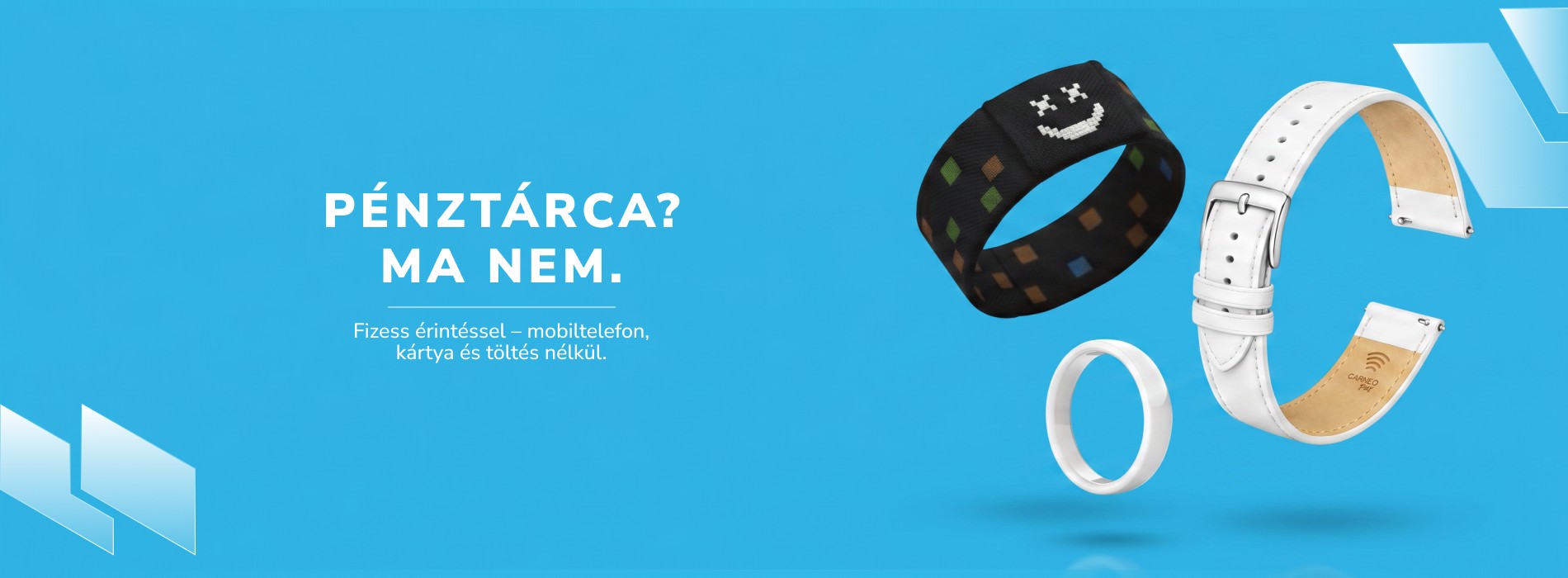 Carneo Pay